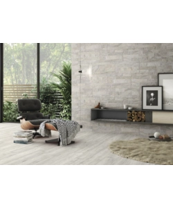 ARDESIA SILVER 31X62 SCAT. 1.54MQ